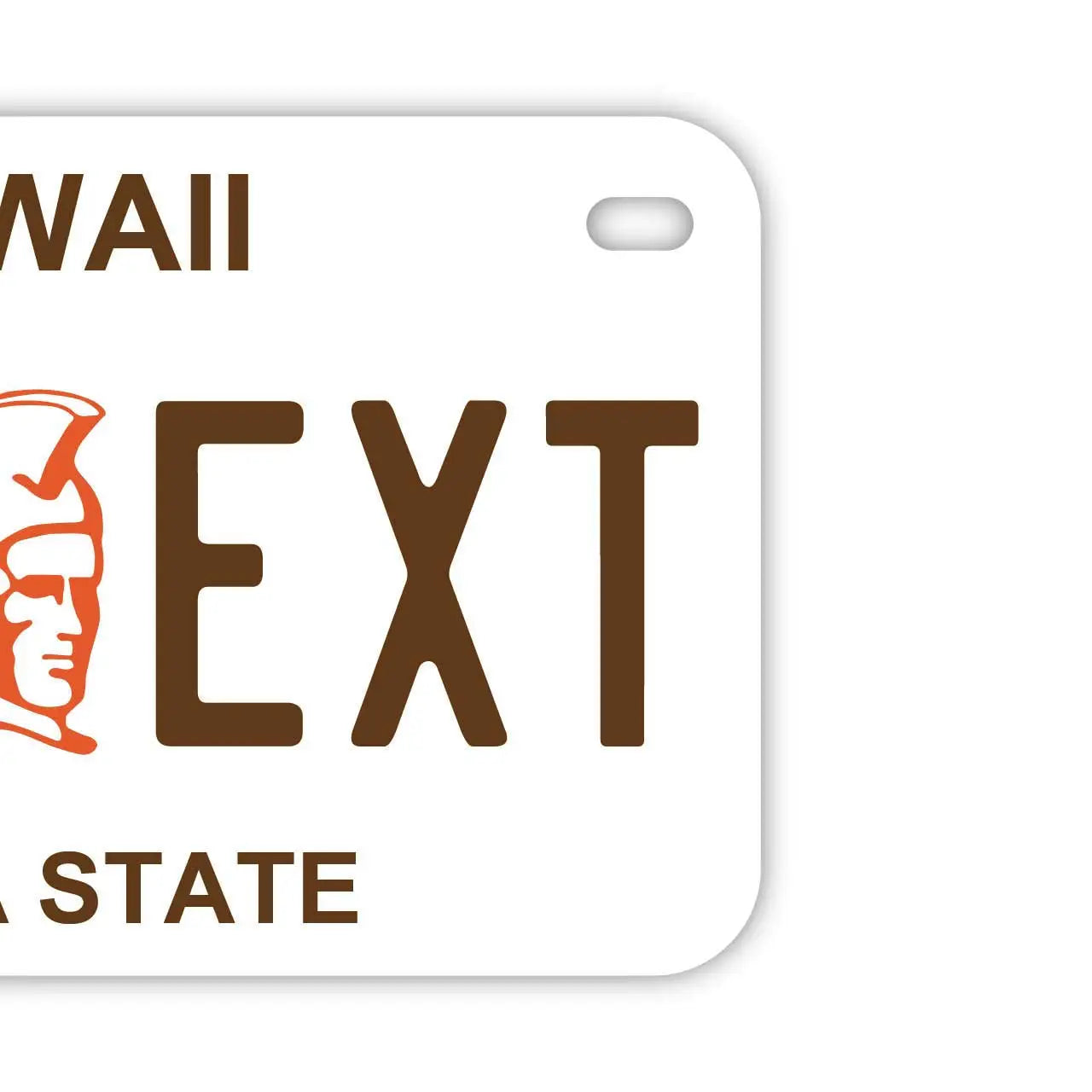 【中・USバイク用】ハワイ・カメハメハ大王/オリジナルアメリカナンバープレート PL8HERO