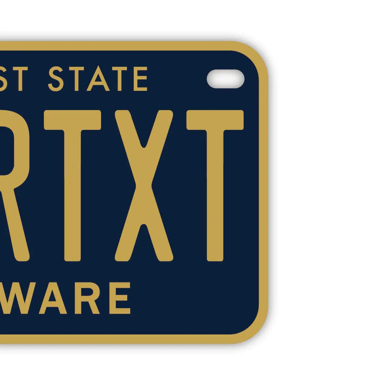 【中・USバイク用】デラウェア/オリジナルアメリカナンバープレート PL8HERO