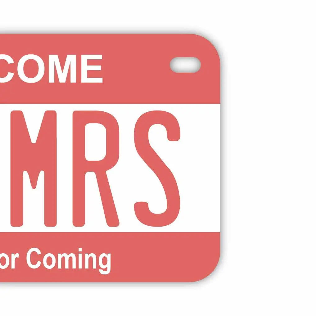 【中・USバイク用】カラー・ピンク/オリジナルアメリカナンバープレート PL8HERO