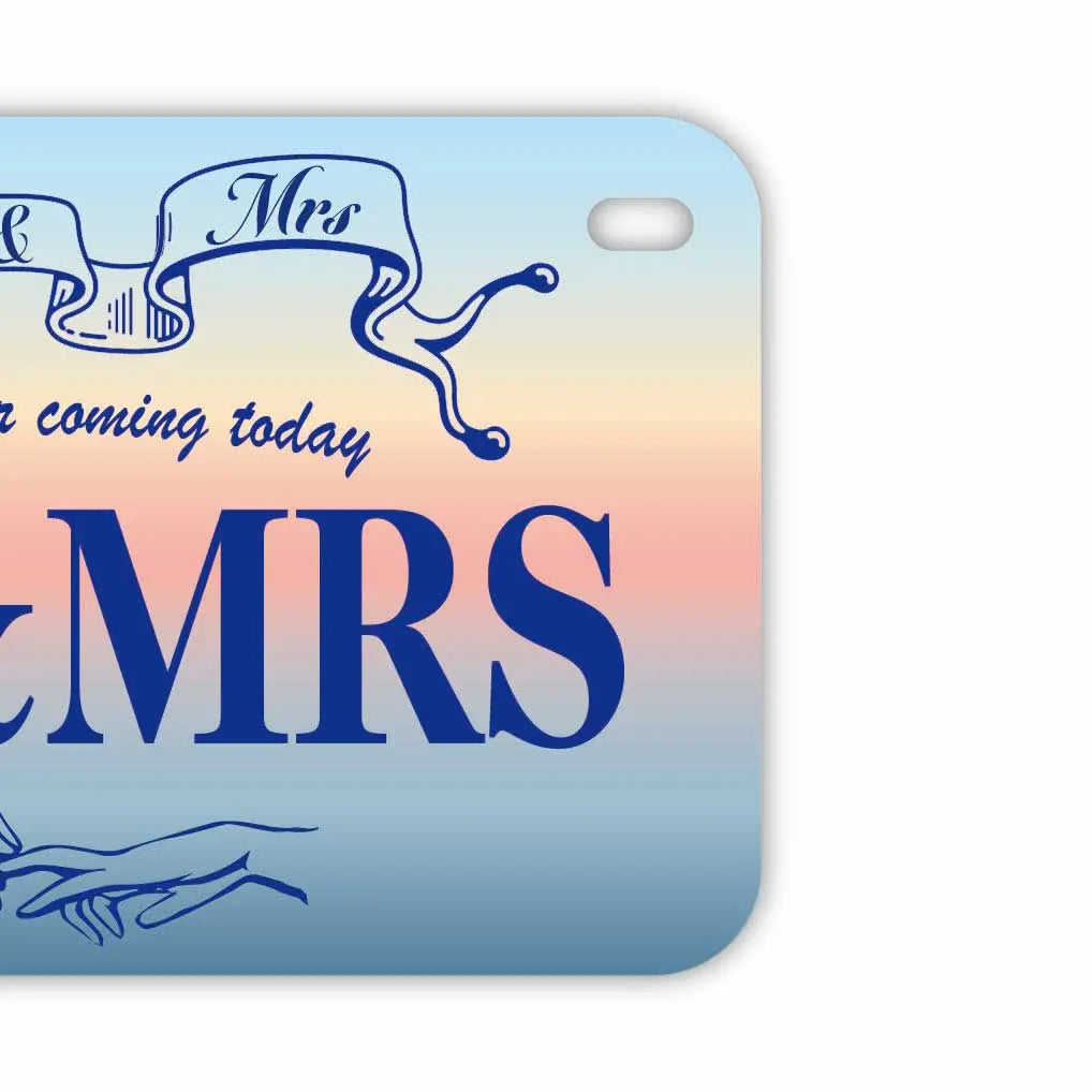 【中・USバイク用】サンライズ/オリジナルアメリカナンバープレート PL8HERO