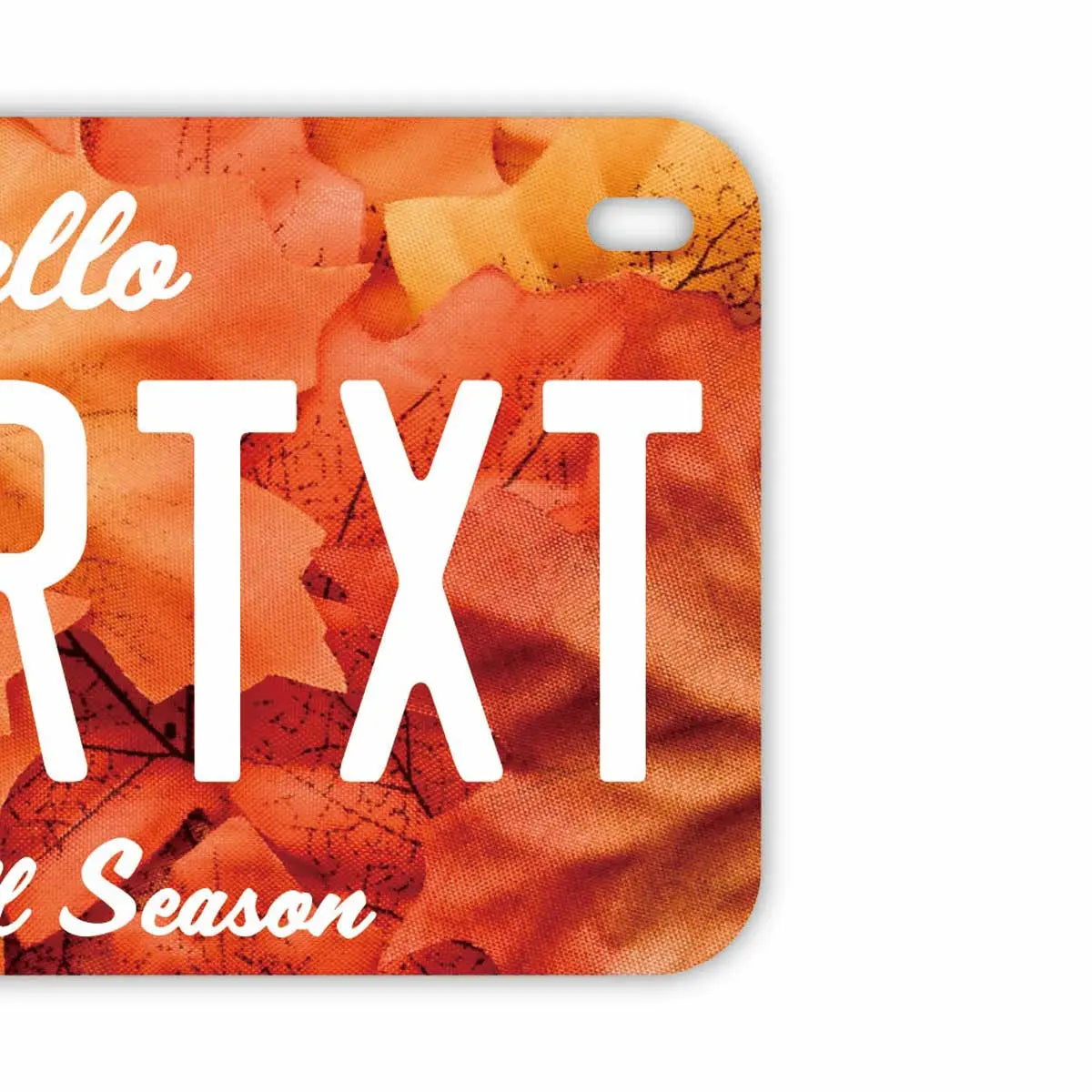 【中・USバイク用】紅葉・レッド/オリジナルアメリカナンバープレート PL8HERO