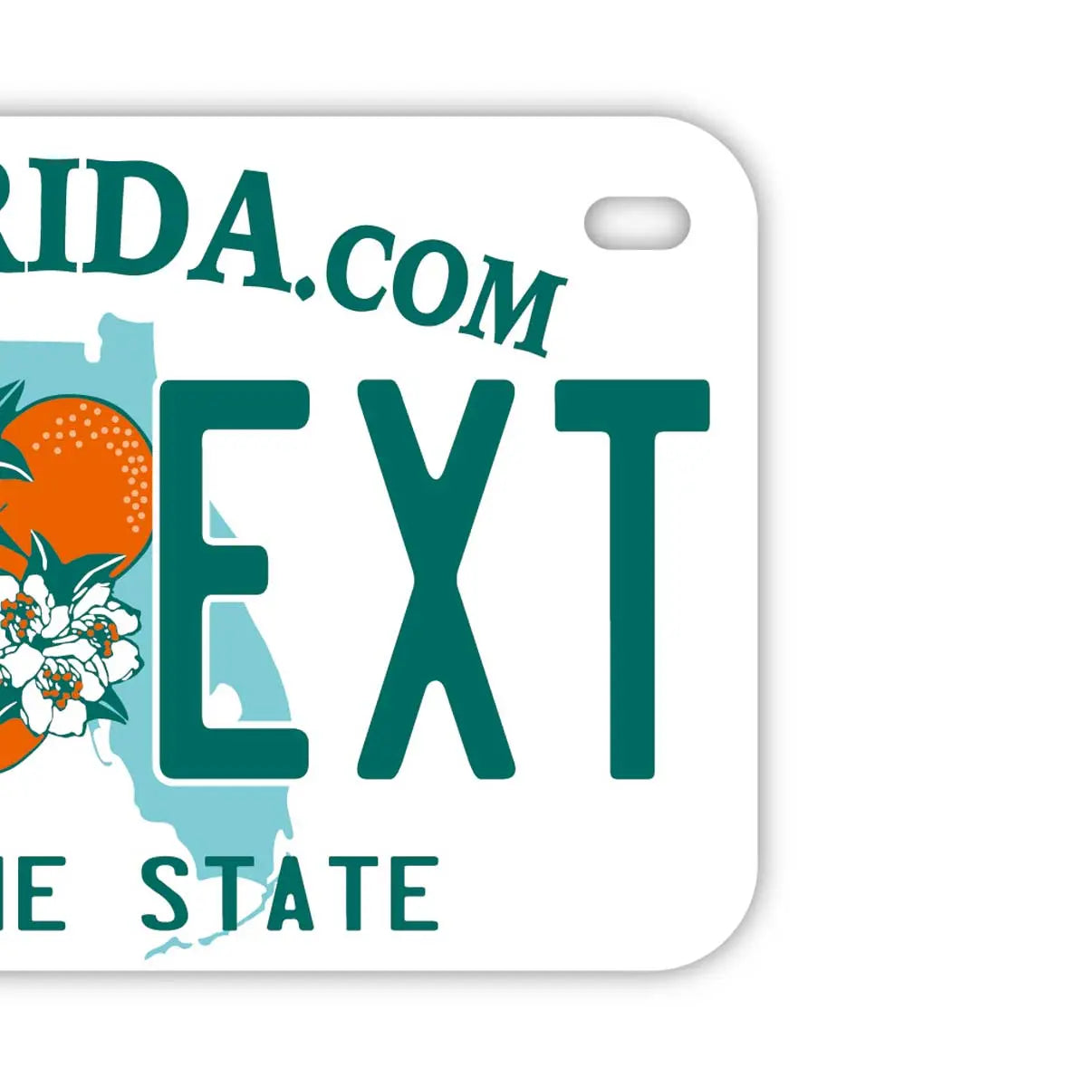 【中・USバイク用】フロリダ2000's/オリジナルアメリカナンバープレート PL8HERO