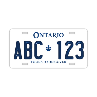 定制车牌标志【大号，适用于美国汽车】安大略省/加拿大原装压纹车牌，时尚铭牌