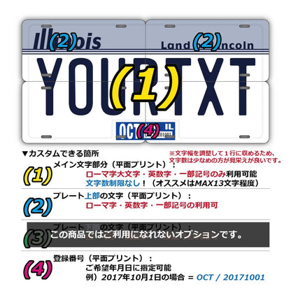 【マルチプレート】イリノイ1980's/オリジナルアメリカナンバープレート PL8HERO