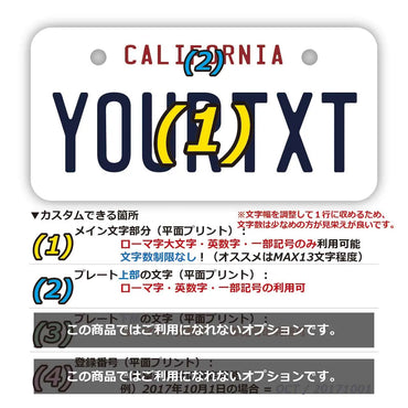 [Mini] California 1990's/Original American license plate