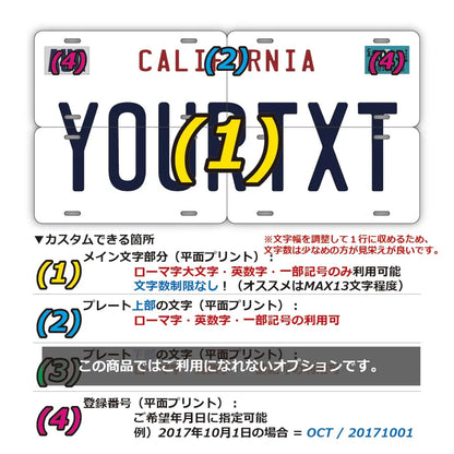 【マルチプレート】カリフォルニア1990's/オリジナルアメリカナンバープレート PL8HERO