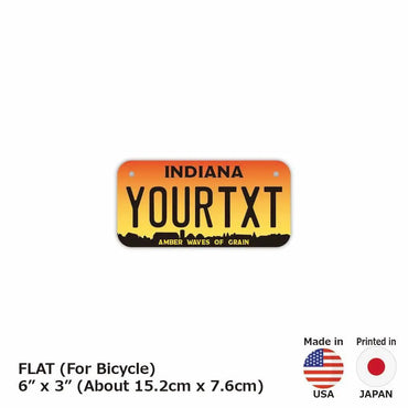 [For small bicycles] Indiana 1993 / Original American license plate