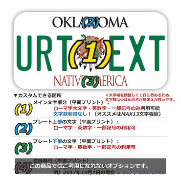 【ステッカー】オクラホマ1994/オリジナルアメリカナンバープレート型・耐水・耐候・屋外OK