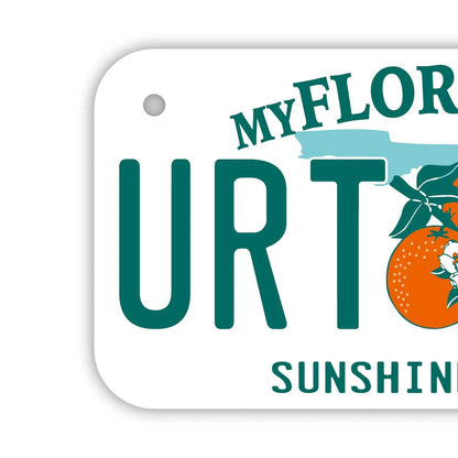 【小・自転車用】フロリダ2000's/オリジナルアメリカナンバープレート PL8HERO