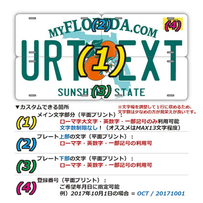 【マルチプレート】フロリダ2000's/オリジナルアメリカナンバープレート PL8HERO