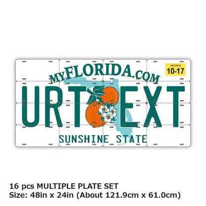 【マルチプレート】フロリダ2000's/オリジナルアメリカナンバープレート PL8HERO