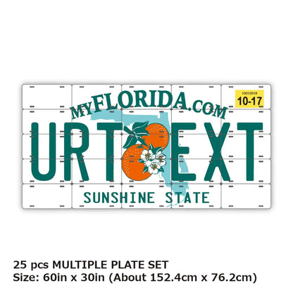 【マルチプレート】フロリダ2000's/オリジナルアメリカナンバープレート PL8HERO