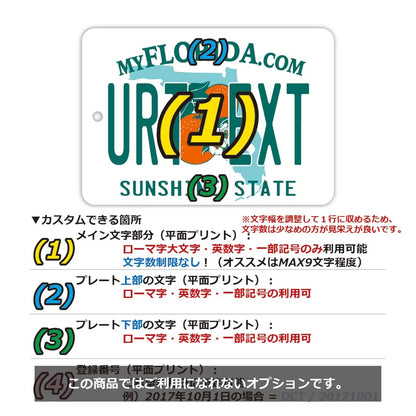 【ミラータグ】フロリダ2000's/オリジナルアメリカナンバープレート型エアフレッシュナー PL8HERO