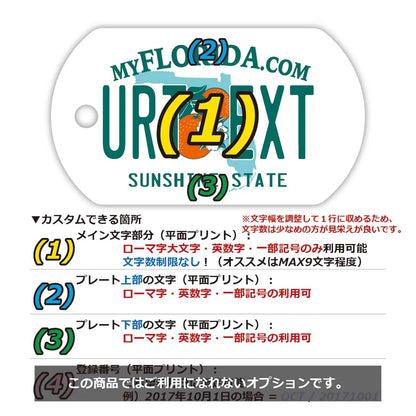 【犬用迷子札・ドッグタグ】フロリダ2000's/オリジナルアメリカナンバープレート型 キーホルダー PL8HERO
