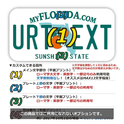 【ステッカー】フロリダ2000's/オリジナルアメリカナンバープレート型・耐水・耐候・屋外OK PL8HERO