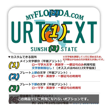 【ステッカー】フロリダ2000's/オリジナルアメリカナンバープレート型・耐水・耐候・屋外OK