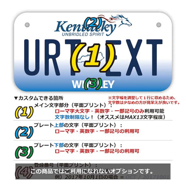 [For small bicycles] Kentucky 2005 / Original American license plate