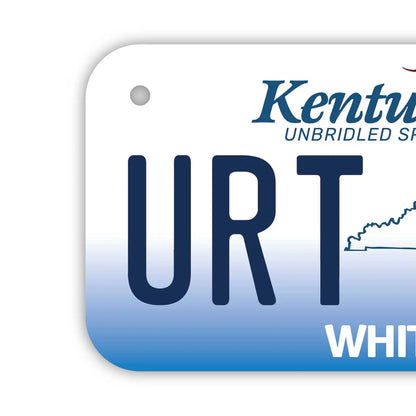 【小・自転車用】ケンタッキー2005/オリジナルアメリカナンバープレート PL8HERO