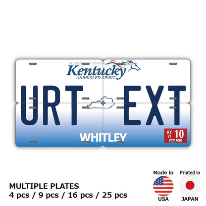 【マルチプレート】ケンタッキー2005/オリジナルアメリカナンバープレート PL8HERO