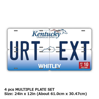 【マルチプレート】ケンタッキー2005/オリジナルアメリカナンバープレート PL8HERO