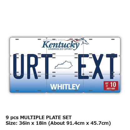 【マルチプレート】ケンタッキー2005/オリジナルアメリカナンバープレート PL8HERO