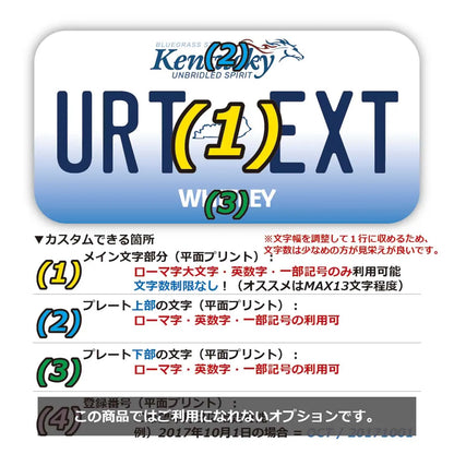 【ステッカー】ケンタッキー2005/オリジナルアメリカナンバープレート型・耐水・耐候・屋外OK PL8HERO