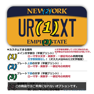 [Sticker] New York 2010 / Original American license plate type / water resistant / weather resistant / outdoor OK