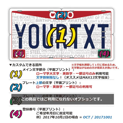【マルチプレート】オハイオ2013/オリジナルアメリカナンバープレート PL8HERO