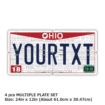 【マルチプレート】オハイオ2013/オリジナルアメリカナンバープレート PL8HERO