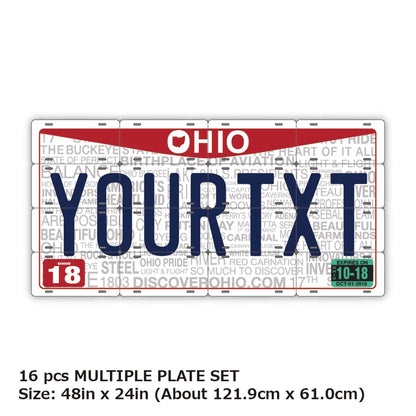 【マルチプレート】オハイオ2013/オリジナルアメリカナンバープレート PL8HERO