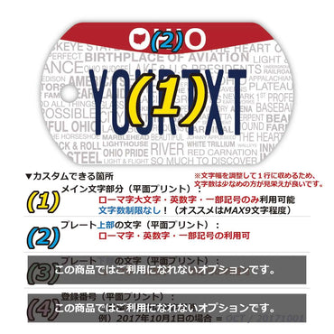 【狗牌】俄亥俄州 2013/原装美国车牌形状个性化钥匙扣