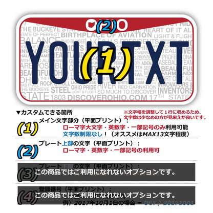 【ステッカー】オハイオ2013/オリジナルアメリカナンバープレート型・耐水・耐候・屋外OK PL8HERO