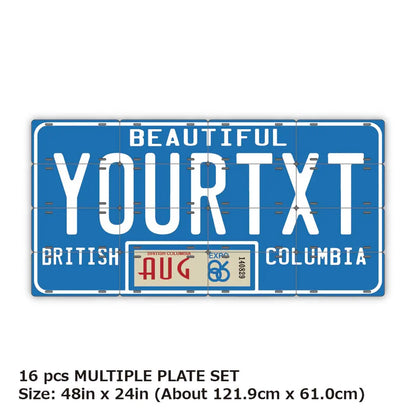 【マルチプレート】ブリティッシュコロンビア80s/オリジナルカナダナンバープレート PL8HERO