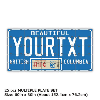 【マルチプレート】ブリティッシュコロンビア80s/オリジナルカナダナンバープレート PL8HERO