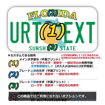 【ステッカー】フロリダ/オリジナルアメリカナンバープレート型・耐水・耐候・屋外OK