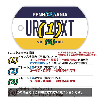 【ドッグタグ】ペンシルバニア/オリジナルアメリカナンバープレート型 キーホルダー PL8HERO