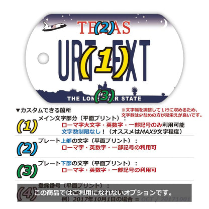 【ドッグタグ】テキサス/オリジナルアメリカナンバープレート型 キーホルダー PL8HERO