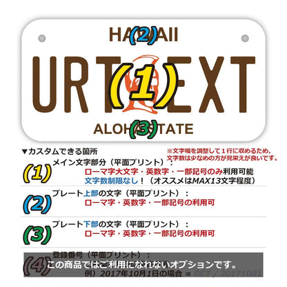 【小・自転車用】ハワイ・カメハメハ大王/オリジナルアメリカナンバープレート PL8HERO