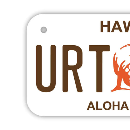 【小・自転車用】ハワイ・カメハメハ大王/オリジナルアメリカナンバープレート PL8HERO