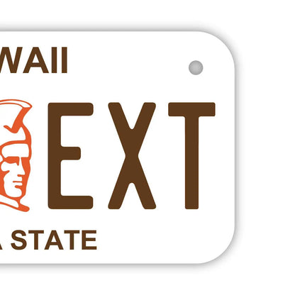 【小・自転車用】ハワイ・カメハメハ大王/オリジナルアメリカナンバープレート PL8HERO