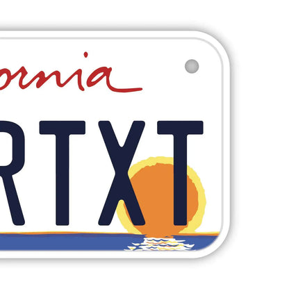 【小・自転車用】カリフォルニア・ヤシの木/オリジナルアメリカナンバープレート PL8HERO