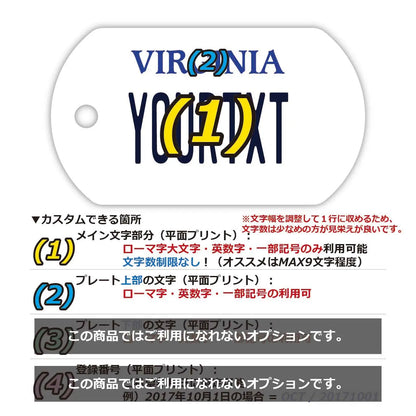 【ドッグタグ】バージニア/オリジナルアメリカナンバープレート型 キーホルダー PL8HERO