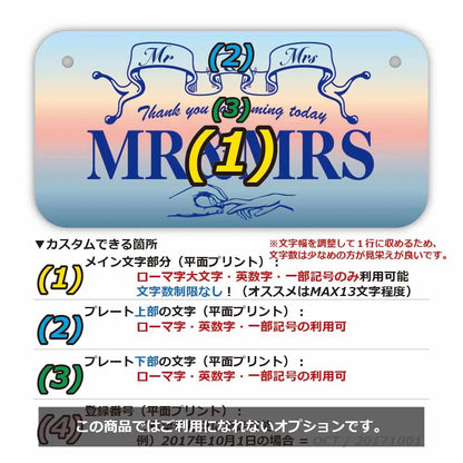 【小・自転車用】サンライズ/オリジナルアメリカナンバープレート PL8HERO