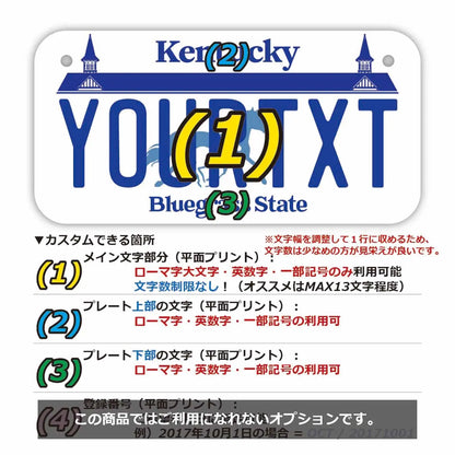 【小・自転車用】ケンタッキー/オリジナルアメリカナンバープレート PL8HERO