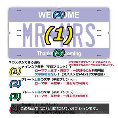 【マルチプレート】カラー・パープル/オリジナルアメリカナンバープレート PL8HERO