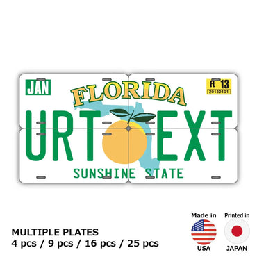 [Multi Plate] Florida / Original American License Plate