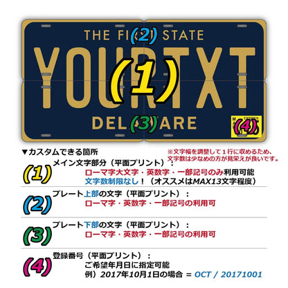 【マルチプレート】デラウェア/オリジナルアメリカナンバープレート PL8HERO