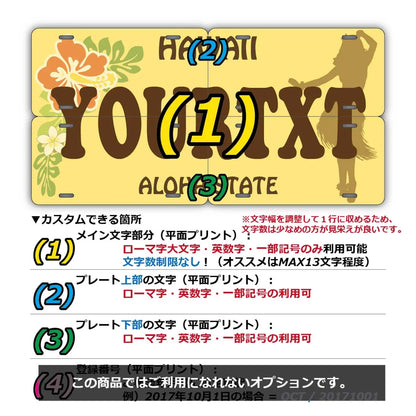 【マルチプレート】ハワイ・フラガール/オリジナルアメリカナンバープレート PL8HERO