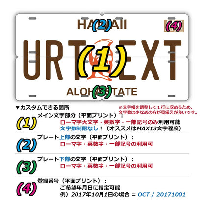 【マルチプレート】ハワイ・カメハメハ大王/オリジナルアメリカナンバープレート PL8HERO