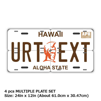 【マルチプレート】ハワイ・カメハメハ大王/オリジナルアメリカナンバープレート PL8HERO